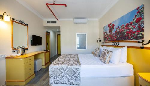 Double Room with Mountain View