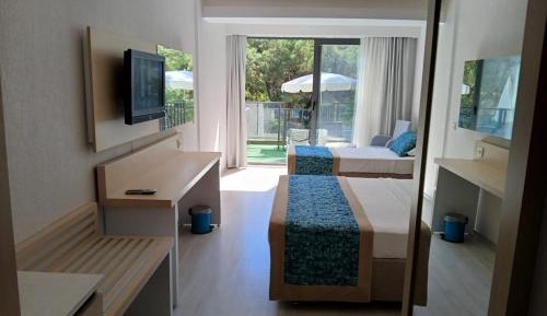 Standard Double or Twin Room