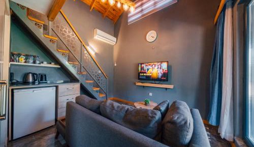 Standard Villa