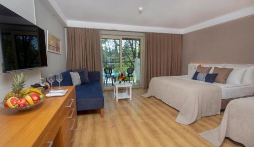 Deluxe Superior Room