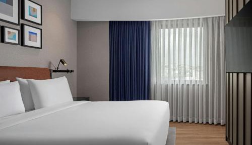 Premium Panoramic King Suite with City View