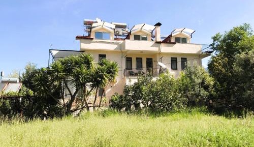 Three-Bedroom Apartment - High Floor