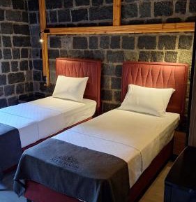 Twin Room with Mountain View