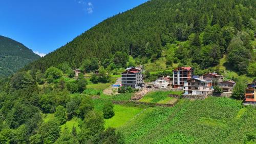 Family Two-Bedroom Apartment with View