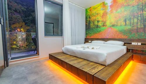 Deluxe Double Room with Balcony