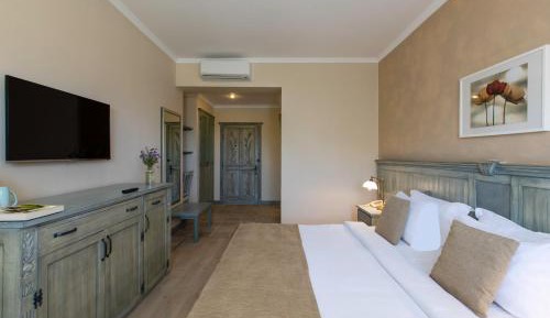 Deluxe Double or Twin Room with Garden View