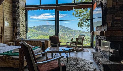 Deluxe Double or Twin Room with Garden View