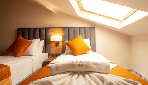 Economic Attic Room