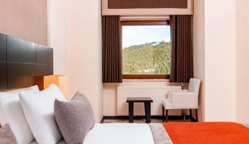Deluxe Double or Twin Room with Mountain View