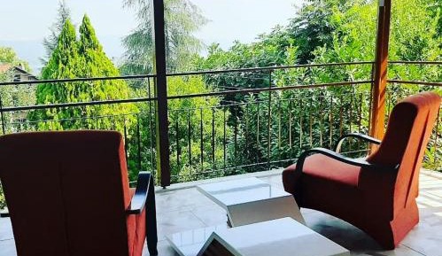 Suite with Terrace