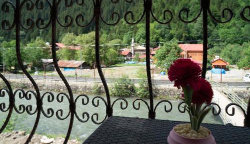 One-Bedroom Apartment with River View and Balcony