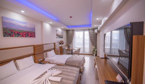 Double or Twin Room with Mountain View