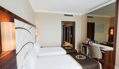 Superior Double or Twin Room