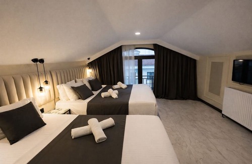 Arnavutkoy Hotel | D Twins Airport Hotel