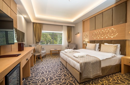 Ciftehan Hotel | Alsi Ametis Thermal Hotel & Spa