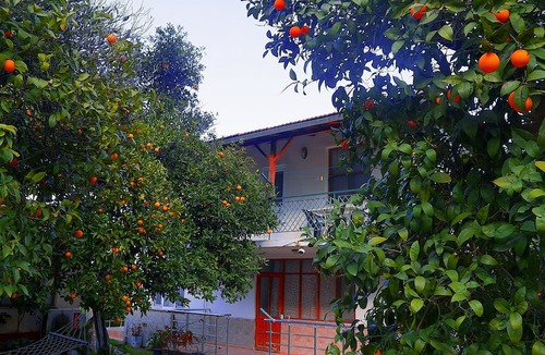 Cirali Hotel | Cirali Irmak Hotel