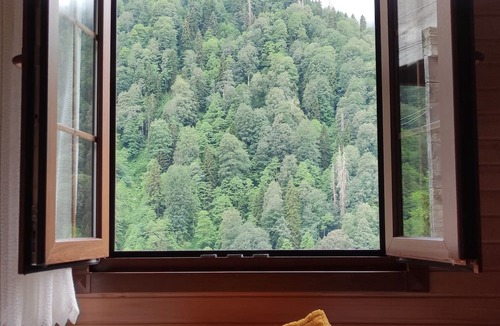 Ayder Yaylasi House | Fora Pansiyon