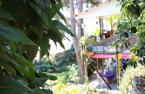 Gazipasa House | Zeytinada Pansiyon ve Gozleme