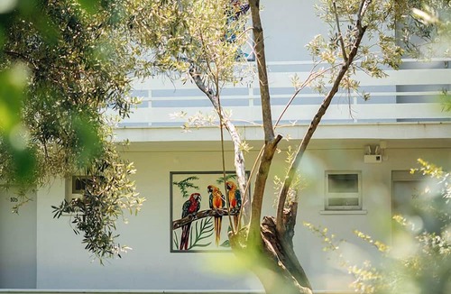 Kucukkuyu Hotel | Palm Beach Otel