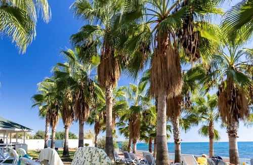 Incekum Hotel | Oz Hotels İncekum Beach Resort