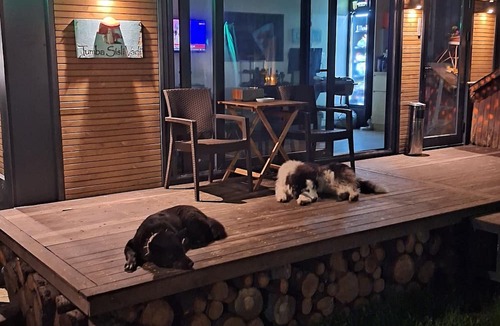 Kartepe Cabin | Tumba Sisli Vadi