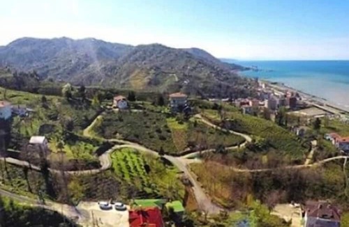 Cayeli Apartment | Caca Bungalow & Apart