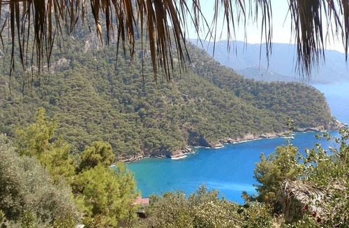 Kabak Valley Cabin | Kök Kamp