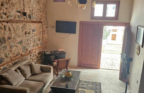 Zeytinbagi Apartment | Saffet Hanım Konağı