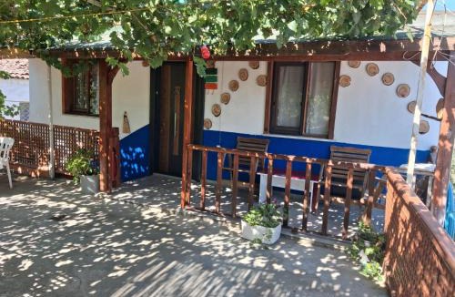 Geyikli House | Geyıklı Asma Hause