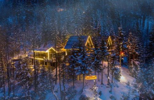 Ayder Yaylasi Ski Chalet | AYDER Güven Dağ Evi