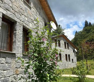 Ardesen Bed & Breakfast | Dere Ağzı