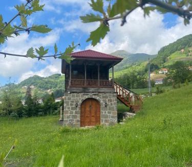 Tonya House | Nero House Trabzon