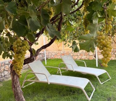 Seydikemer Villa | Villa Eylem