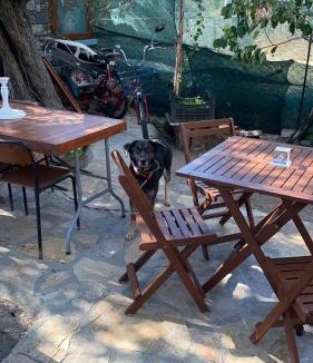 Zeytinli House | Ailemizin tatil evi