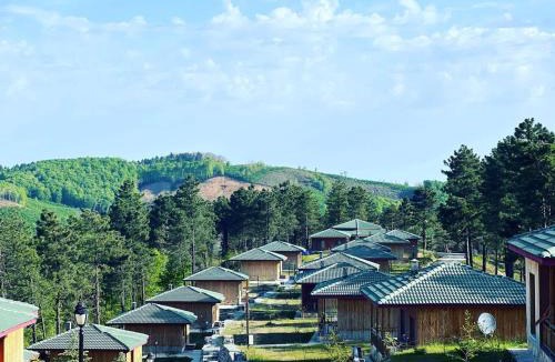 Unye House | May Villas Cet Mountain 1-1 Bungalow with Fireplace 107