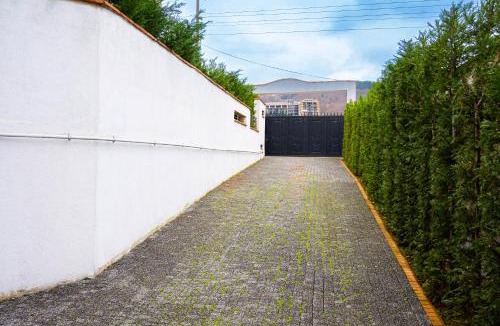Sapanca Villa | Villa Yel Degirmeni