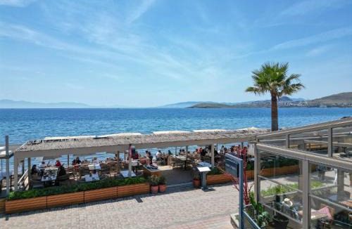 Ortakentyahsi Belediyesi Hotel | Acropol Of Bodrum Beach Hotel
