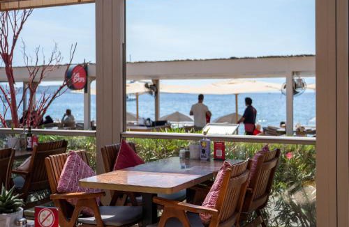 Ortakentyahsi Belediyesi Hotel | Acropol Of Bodrum Beach Hotel