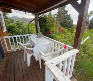 Cirali Apartment | Naz Apartlari Cirali