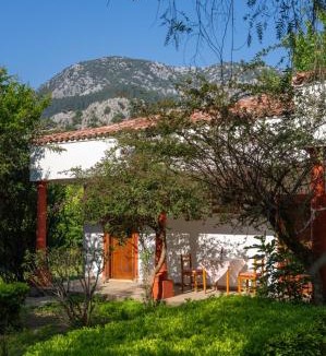 Cirali Hotel | Odile Hotel by Naturelife