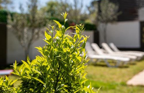 Kepez Villa | Zirve Premium - Luxury Vacation Villa with Private Pool