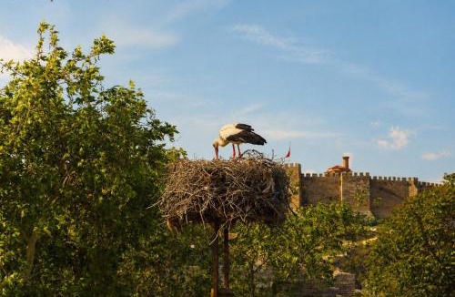 Selcuk Hotel | Hotel Bella