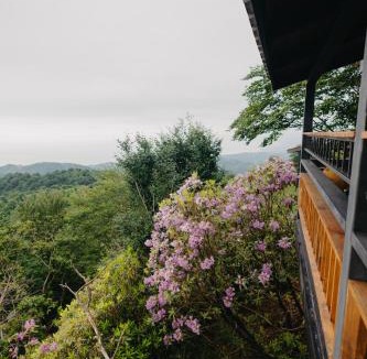 Pazar Hotel | Indra Village Hotel