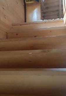 Ayder Yaylasi Apartment | Guesthouse Dolunay