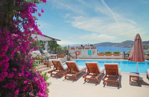 Bodrum City Center Hotel | Hotel Gumbet