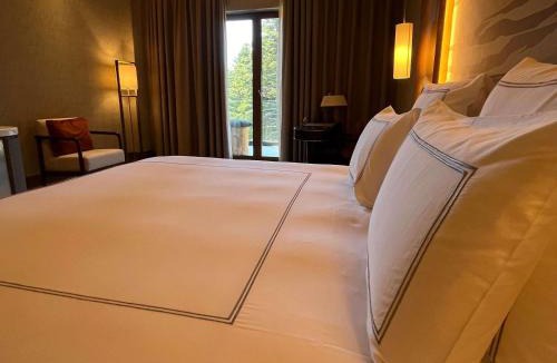 Osmangazi Hotel | Swissotel Uludag Bursa