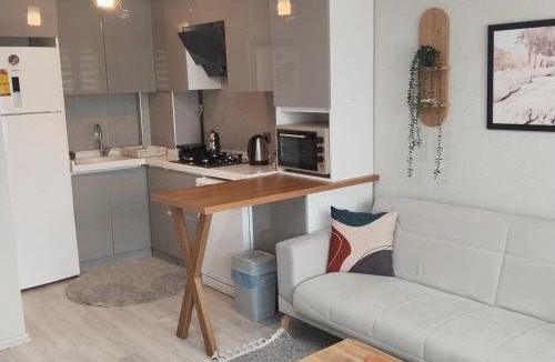 Cubuk Apartment | Ankara Esenboğa Airport Comfort Apart