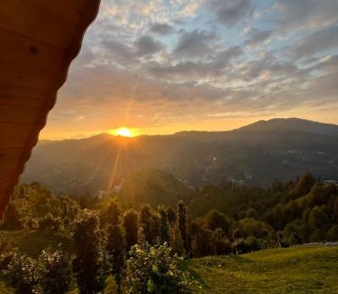Ayder Ski Chalet | Pisa Villa-Bungalov