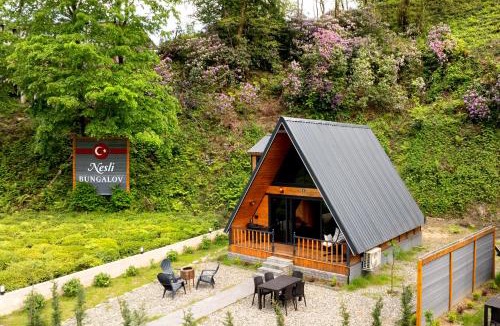 Cayeli Villa | Nesli Villa & Bungalow-4