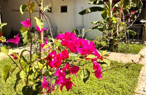 Adrasan Apartment | Adrasan Parlak apart